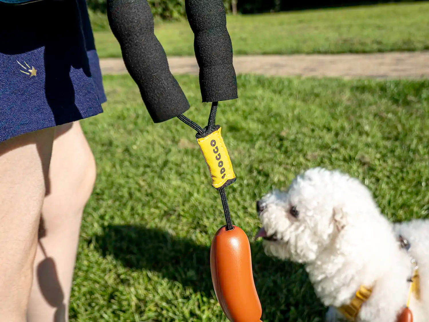 The "Hotdog" Sausage Dog Lead Best Fun Stylish Dog Leash 4DOGGO 2023