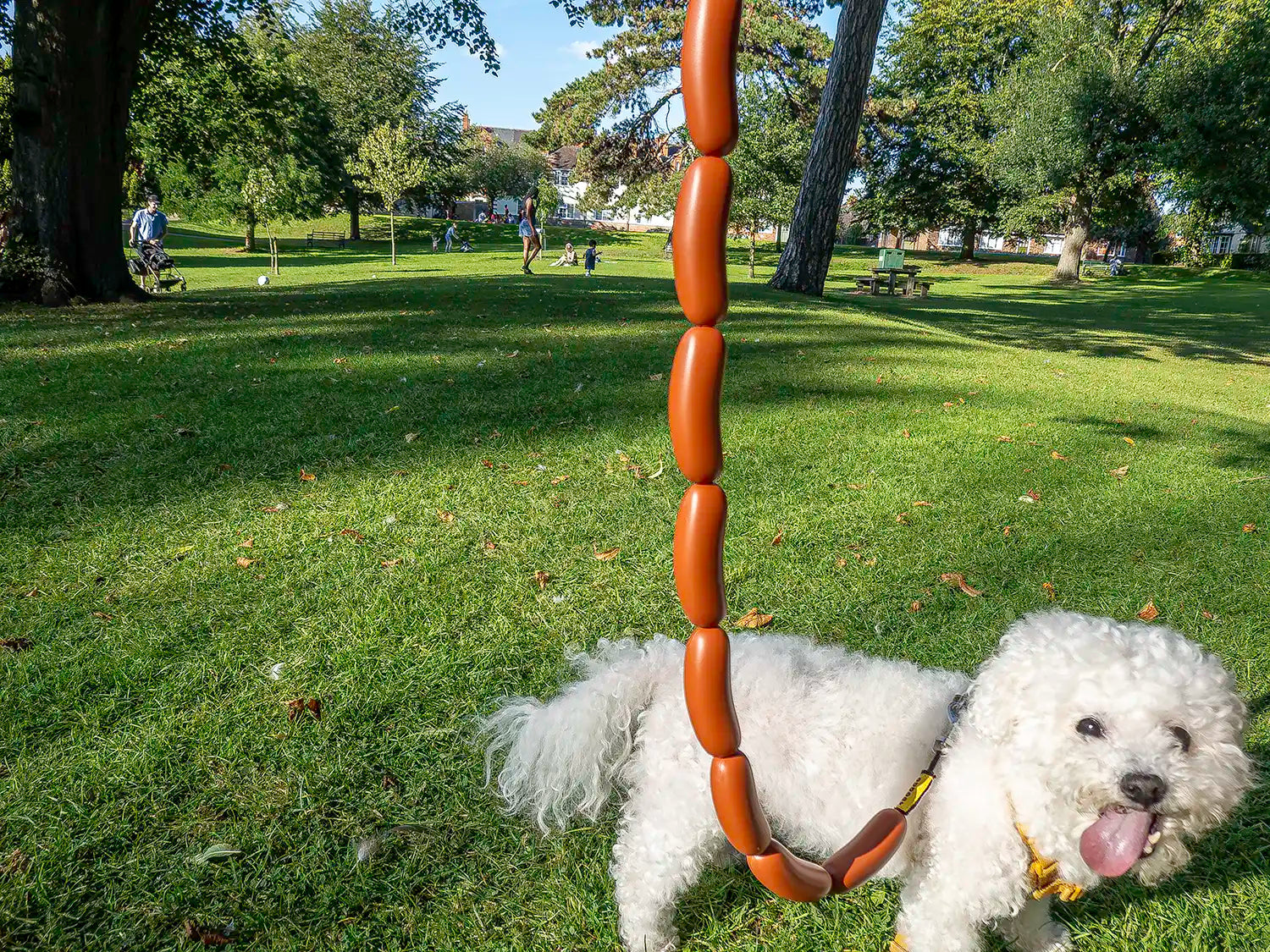 The "Hotdog" Sausage Dog Lead Best Fun Stylish Dog Leash 4DOGGO 2023