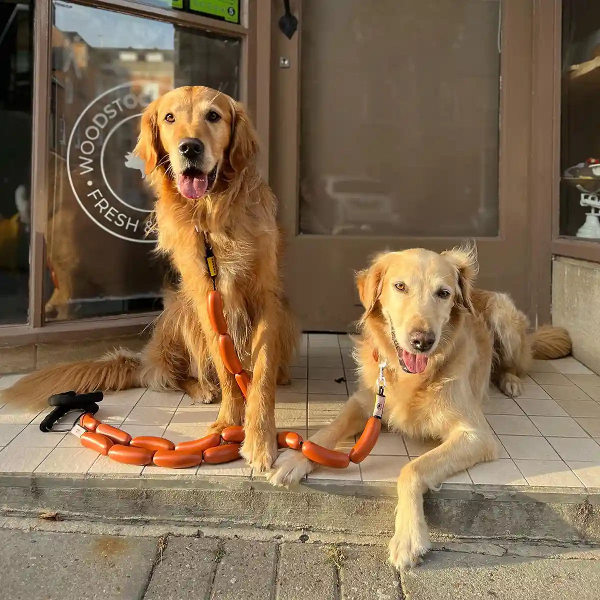 Lovely golden retriever twins love using our Hotdog sausage lead