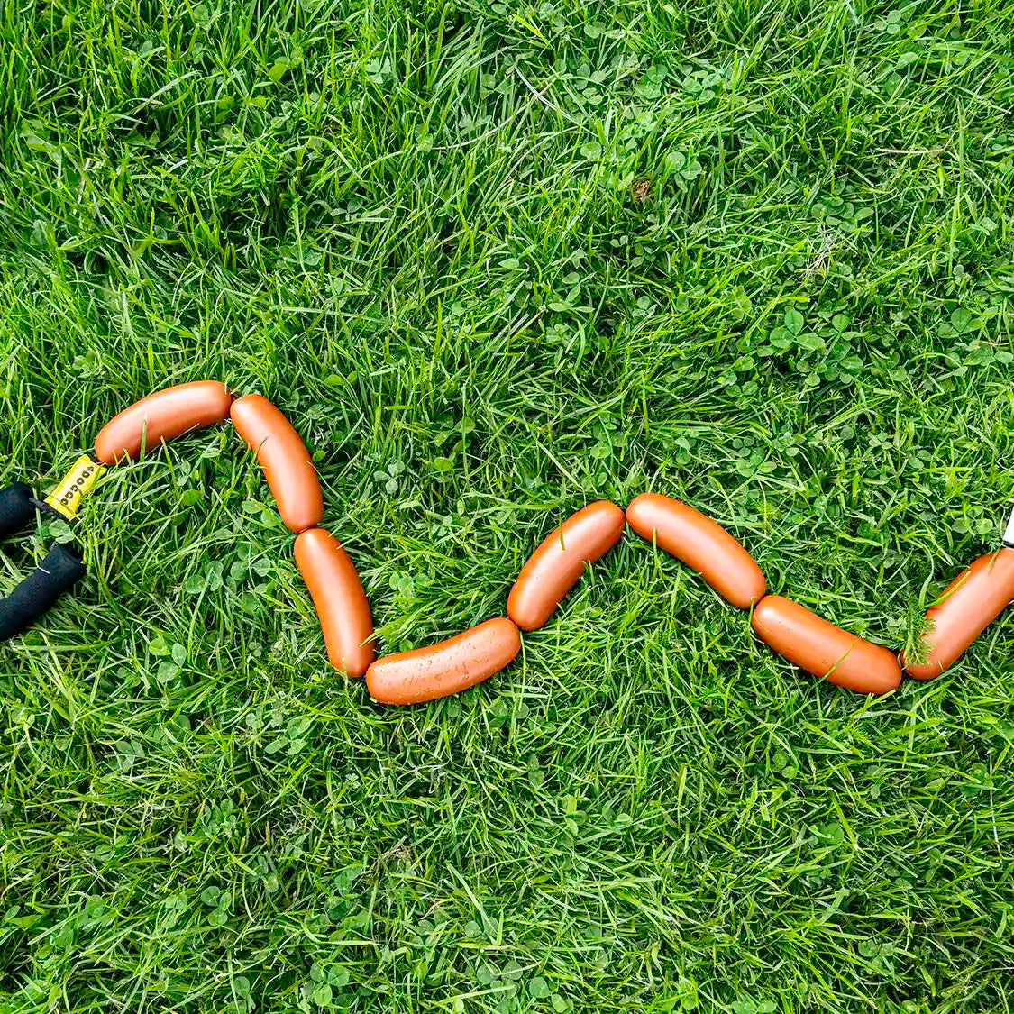 Our hotdog lead is always tangle free.