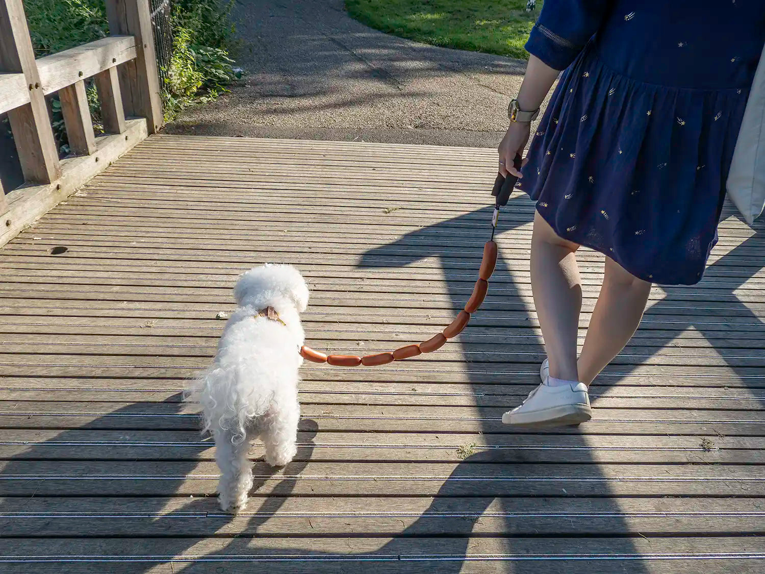 Helen with the 4DOGGO Hotdog sausage dog leash walking with snowy